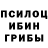 Галлюциногенные грибы Psilocybe Ruslan Dzhambyrbay